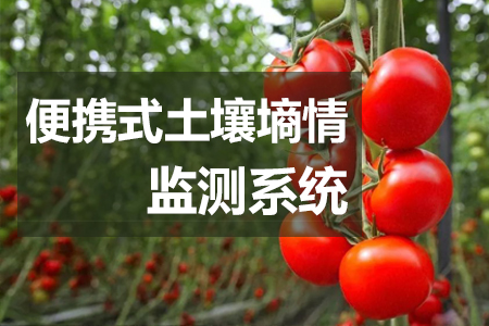 便攜式土壤墑情監(jiān)測系統(tǒng)