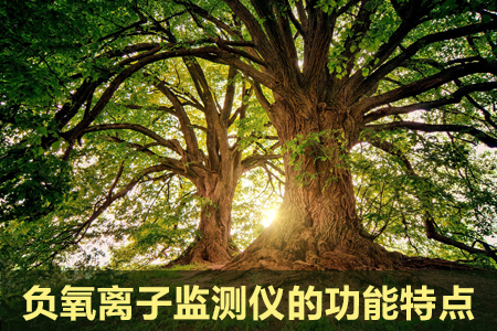 負(fù)氧離子監(jiān)測(cè)儀的功能特點(diǎn)