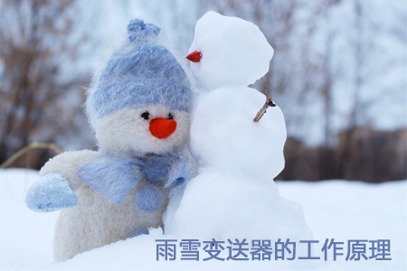 雨雪變送器的監(jiān)測原理