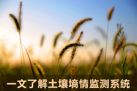 一文了解土壤墑情監(jiān)測系統(tǒng)