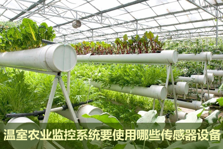 什么類型的傳感器在溫室里有用
