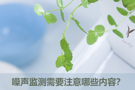 噪聲監(jiān)測需要注意哪些內容