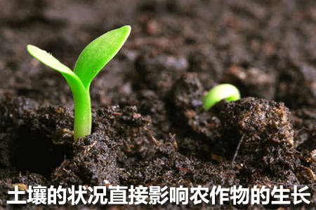 便攜式土壤墑情速測儀的特點