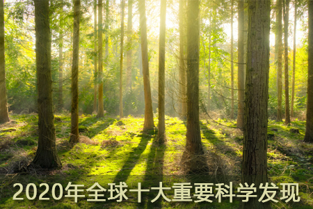 《自然》評出2020年十大重要科學(xué)發(fā)現(xiàn)