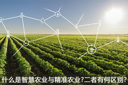是智慧農(nóng)業(yè)與精準(zhǔn)農(nóng)業(yè)
