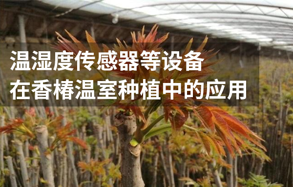 溫濕度變送器在香椿溫室種植中的應(yīng)用
