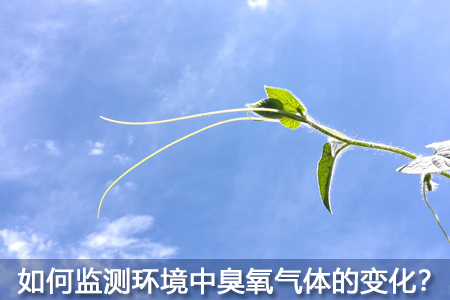 如何監(jiān)測(cè)環(huán)境中臭氧氣體的變化