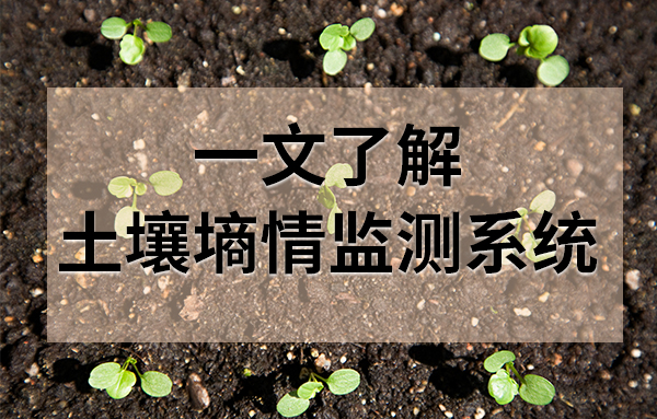 土壤墑情監(jiān)測(cè)系統(tǒng)