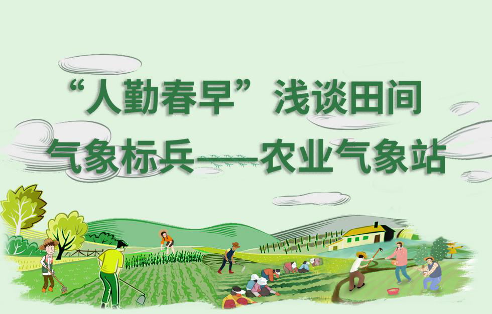 農(nóng)業(yè)氣象站田間氣象標兵