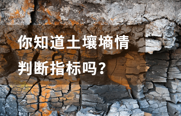 土壤墑情監(jiān)測系統(tǒng)如何感知土壤墑情變化