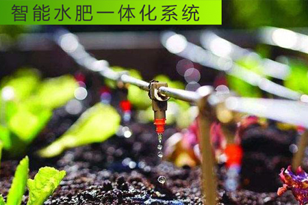 水肥一體化是如何避免過量施肥灌溉的
