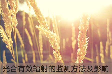 光合有效輻射的監(jiān)測(cè)方法及影響