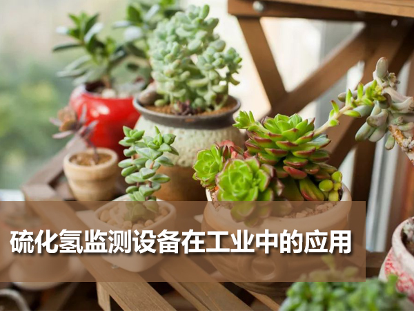 硫化氫氣體監(jiān)測(cè)設(shè)備在各類工業(yè)環(huán)境中的應(yīng)用