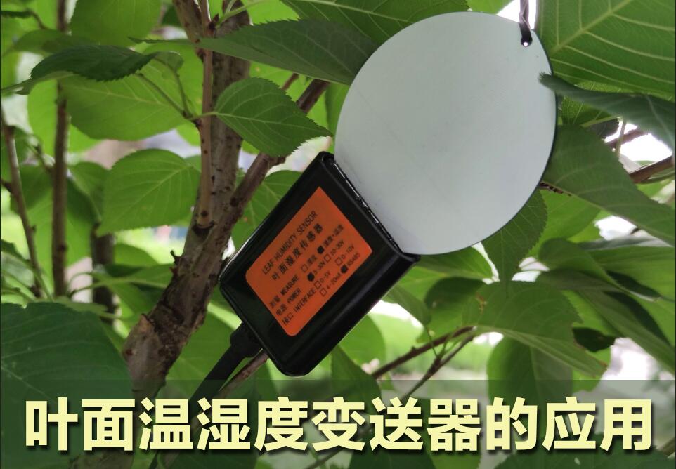 葉面濕度變送器在農(nóng)業(yè)中的應(yīng)用