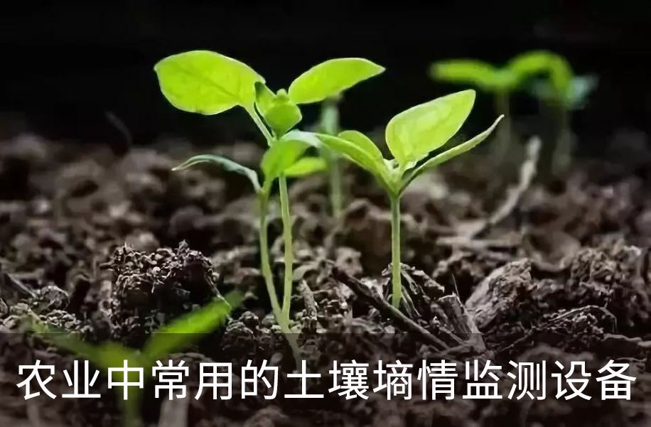 農(nóng)業(yè)中常用的土壤墑情監(jiān)測設備
