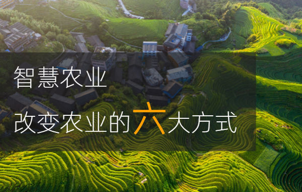科技如何改變農(nóng)業(yè)的種植和管理