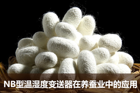 NB型溫濕度變送器在養(yǎng)蠶業(yè)中的應(yīng)用