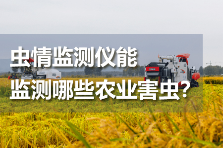 蟲情監(jiān)測(cè)儀能監(jiān)測(cè)哪些農(nóng)業(yè)害蟲