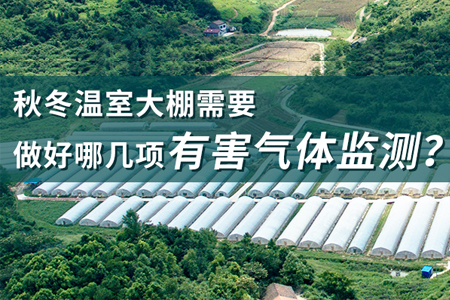 溫室大棚需要重點監(jiān)測哪幾項有害氣體