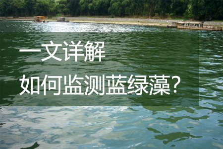 一文詳解如何監(jiān)測(cè)藍(lán)綠藻？