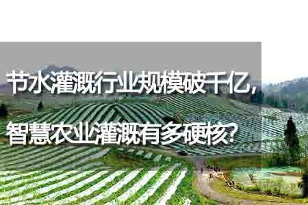 節(jié)水灌溉行業(yè)規(guī)模破千億，智慧農(nóng)業(yè)灌溉有多硬核？