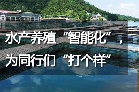 水產(chǎn)養(yǎng)殖“智能化”