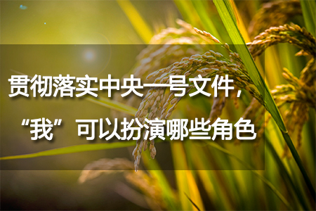 貫徹落實中央一號文件