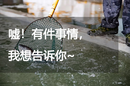 噓！有件事情，我想告訴你~