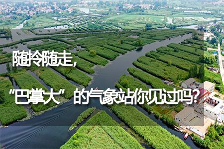 “巴掌大”的氣象站你見過嗎