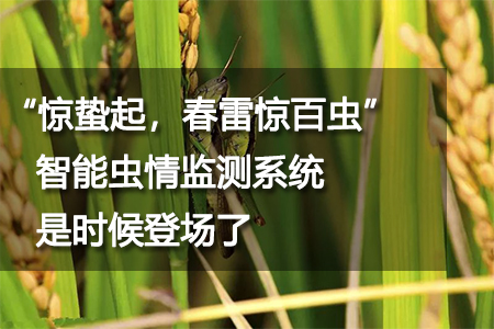 智能蟲情監(jiān)測系統(tǒng)