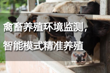 禽畜養(yǎng)殖環(huán)境監(jiān)測