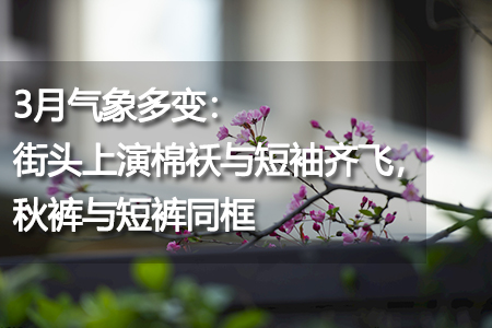 街頭上演棉襖與短袖齊飛，秋褲與短褲同框