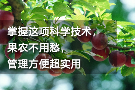 這項科學技術，果農不用愁，管理方便超實用