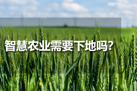 智慧農(nóng)業(yè)需要下地嗎