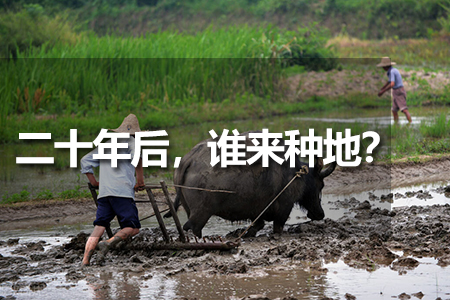 二十年后，誰(shuí)來(lái)種地？