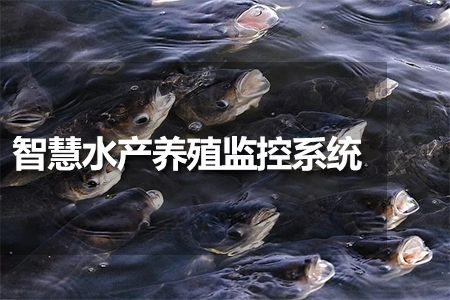 智慧水產(chǎn)養(yǎng)殖監(jiān)控系統(tǒng)