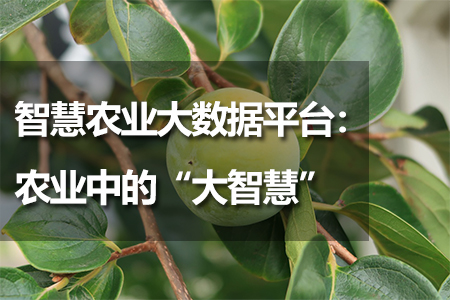 智慧農(nóng)業(yè)大數(shù)據(jù)平臺(tái)