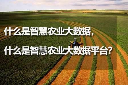 什么是智慧農(nóng)業(yè)大數(shù)據(jù)平臺(tái)