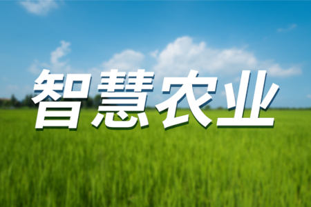 遠(yuǎn)距離、低功耗、高性能的智慧農(nóng)業(yè)無線灌溉系統(tǒng)