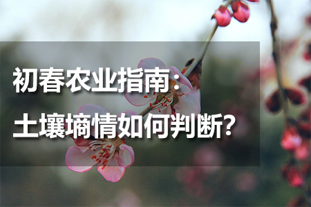 土壤墑情如何判斷