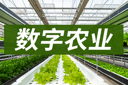 傳感器等高科技賦能數(shù)字農(nóng)業(yè)
