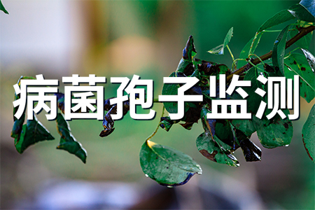 便攜式全自動(dòng)孢子捕捉分析儀