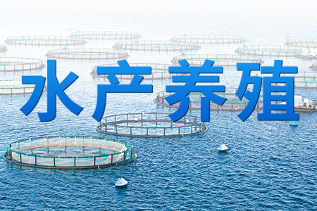 智慧水產(chǎn)養(yǎng)殖監(jiān)控系統(tǒng)