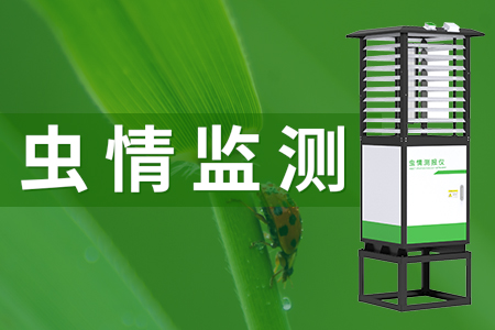 蟲(chóng)情測(cè)報(bào)儀