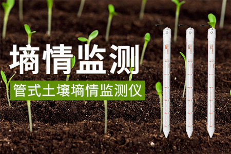 管式土壤墑情自動(dòng)監(jiān)測(cè)儀