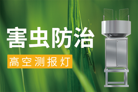 2023年草地貪夜蛾防控技術(shù)