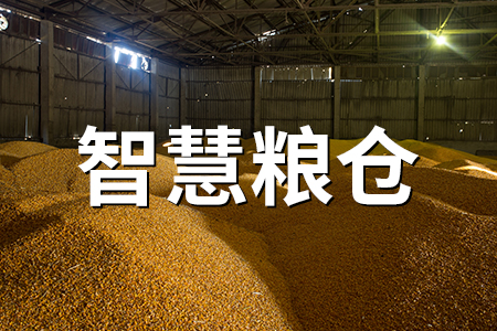 存糧搭上“黑科技”，新糧“住進(jìn)”智慧倉