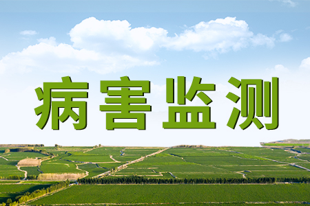 病害的監(jiān)測與防控