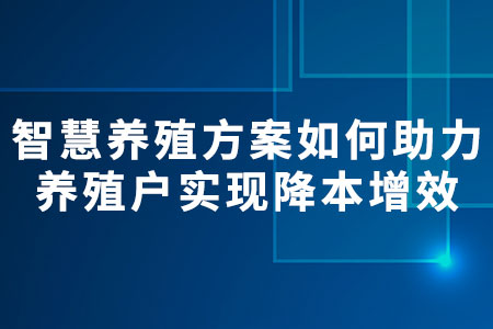 智慧養(yǎng)殖方案如何助力養(yǎng)殖戶實現(xiàn)降本增效