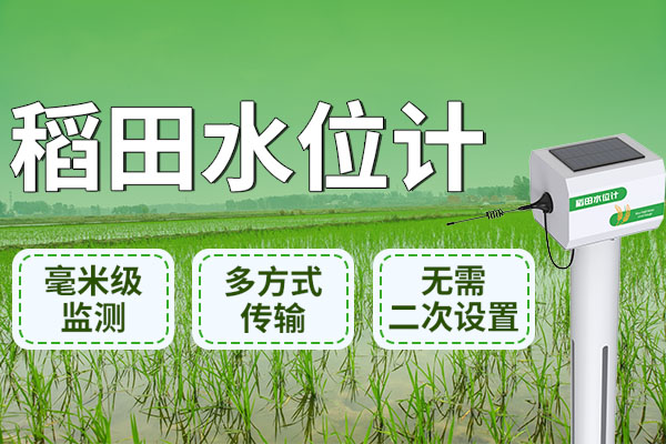 稻田,水位,計丨,讓,科技,扎根,土地,豐收,從此,觸手可及,水稻,作為,全球,重要,糧食作物,其,生長,對,水分,管理,要求,極高,。,傳統(tǒng),稻田,灌溉,依賴,人工,